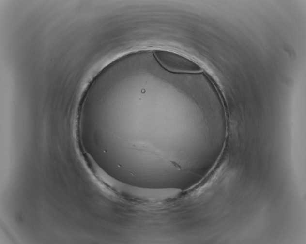 X0000112971525200909101643