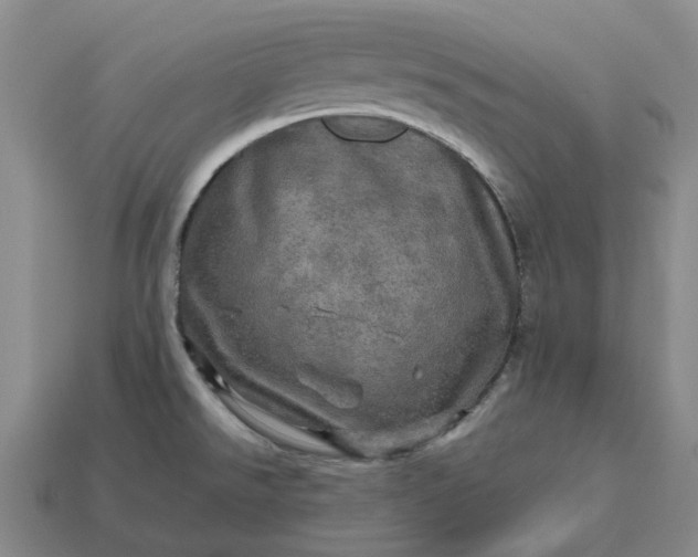 X0000112971526200909101643