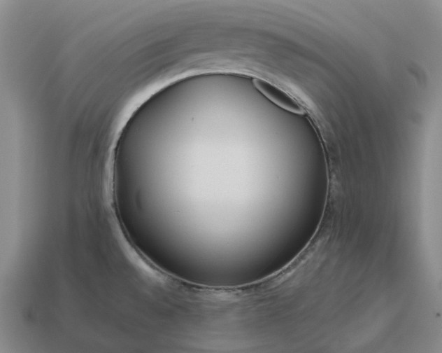 X0000112971528200909101643