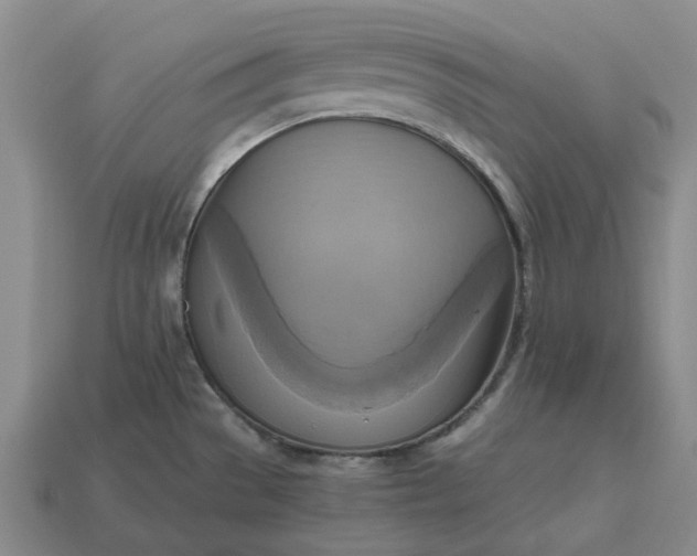 X0000112971529200909101643