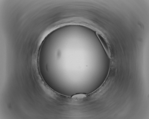 X0000112971530200909101643