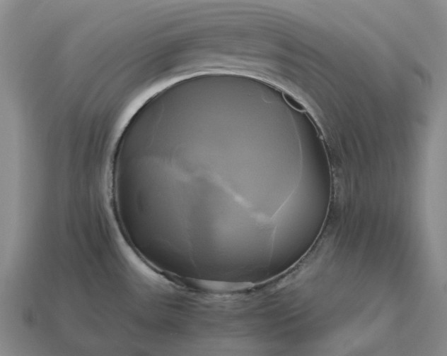 X0000112971531200909101643