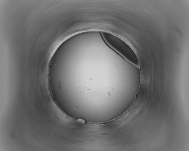 X0000112971532200909101643