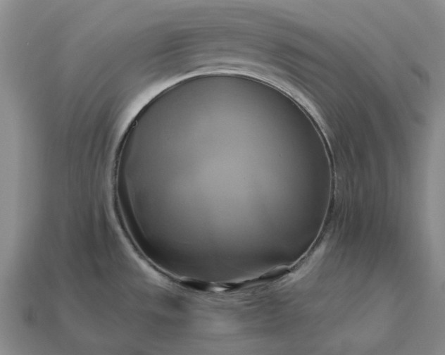 X0000112971533200909101643