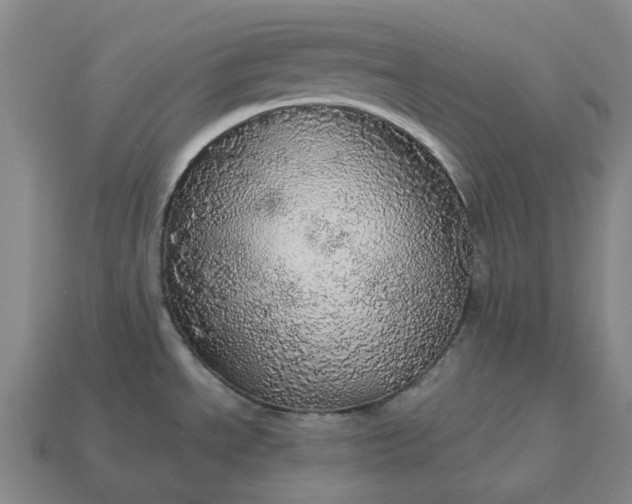 X0000112971534200909101643