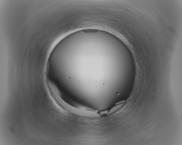 X0000112971536200909101643