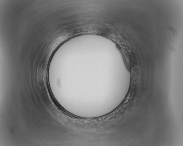 X0000112970003200909171328