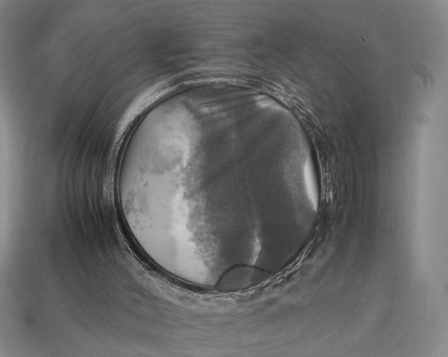 X0000112970004200909171328