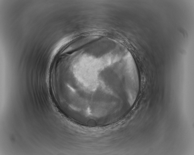 X0000112970006200909171327