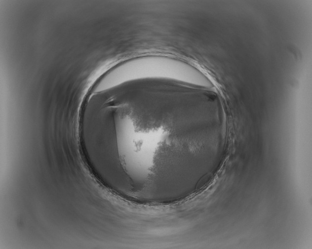 X0000112970008200909171327