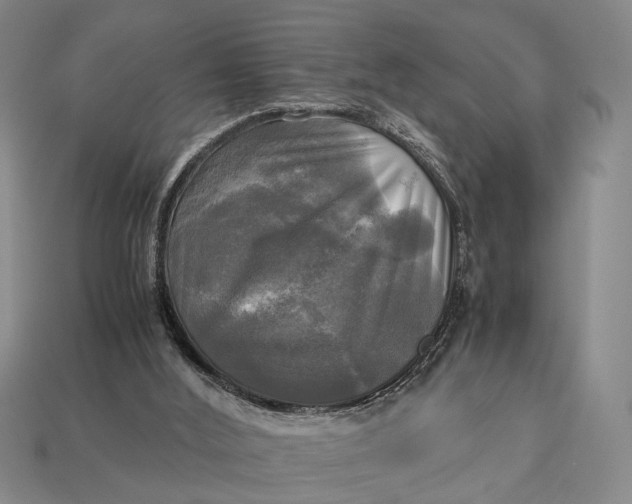 X0000112970012200909171327