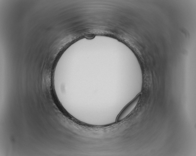 X0000112970015200909171327