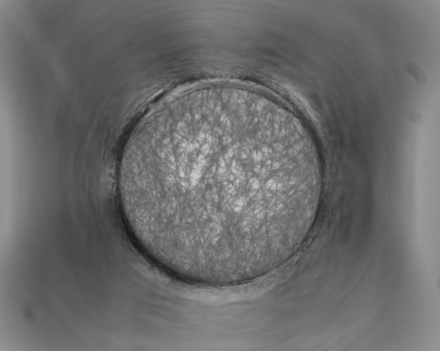 X0000112970017200909171327