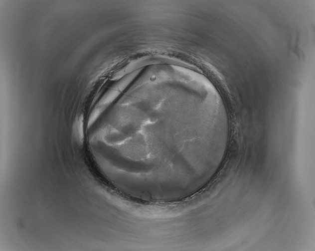 X0000112970020200909171327