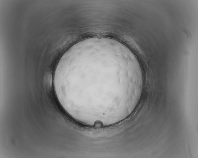 X0000112970021200909171327