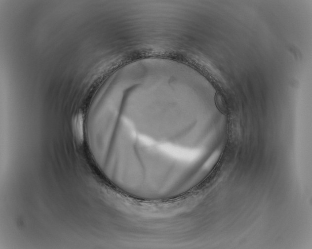 X0000112970022200909171327