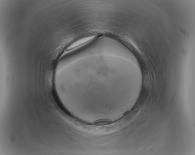 X0000112970023200909171327