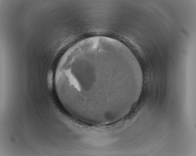 X0000112970024200909171327