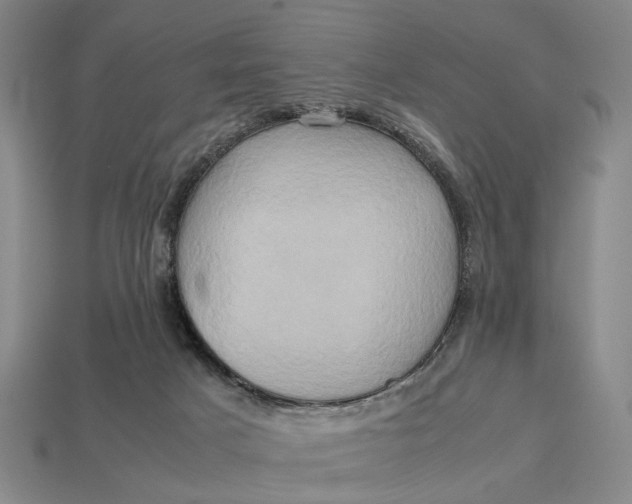 X0000112970025200909171327