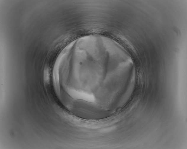 X0000112970026200909171327