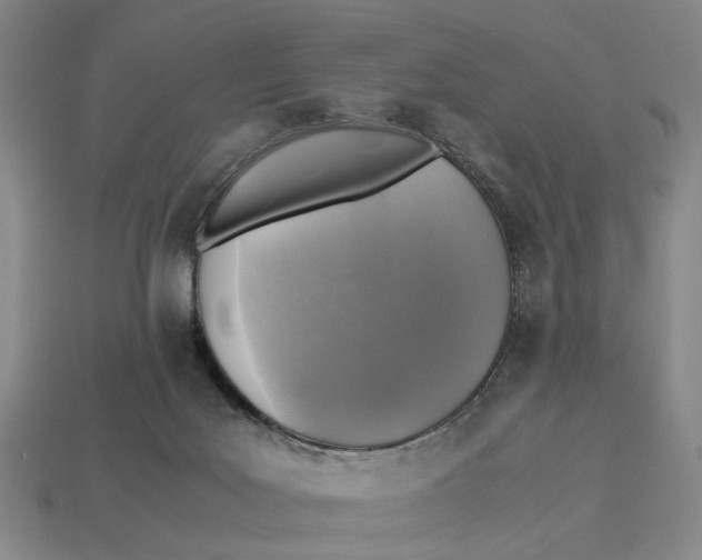 X0000112970027200909171327