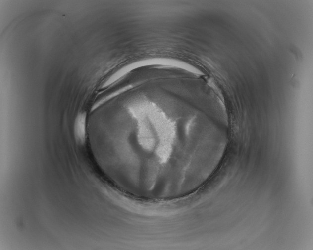 X0000112970028200909171327