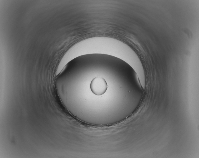 X0000112970029200909171327