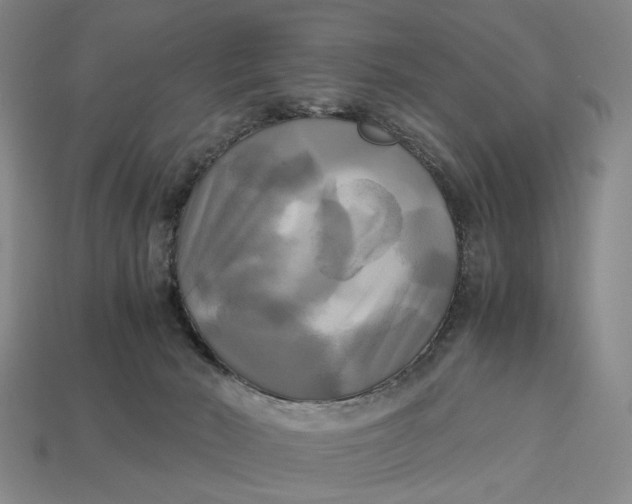 X0000112970030200909171327