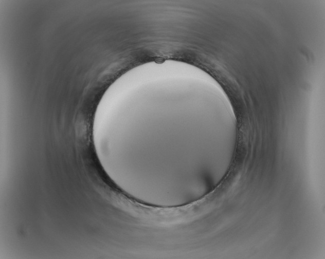 X0000112970031200909171327