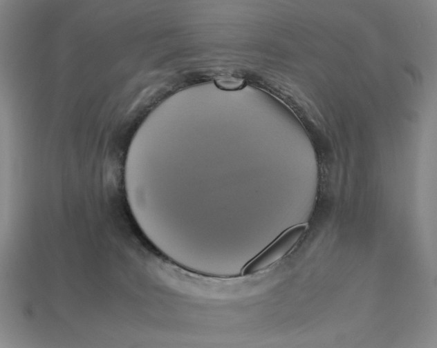 X0000112970035200909171327