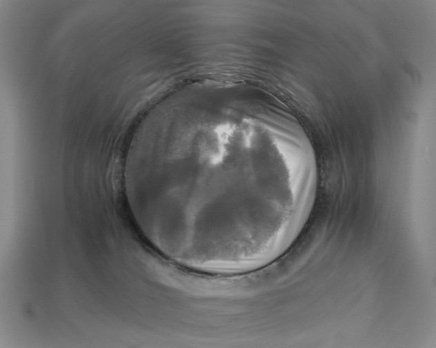 X0000112970036200909171327