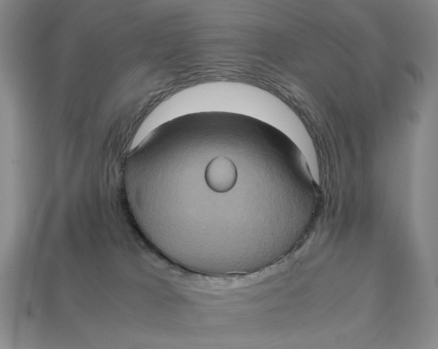 X0000112970037200909171327