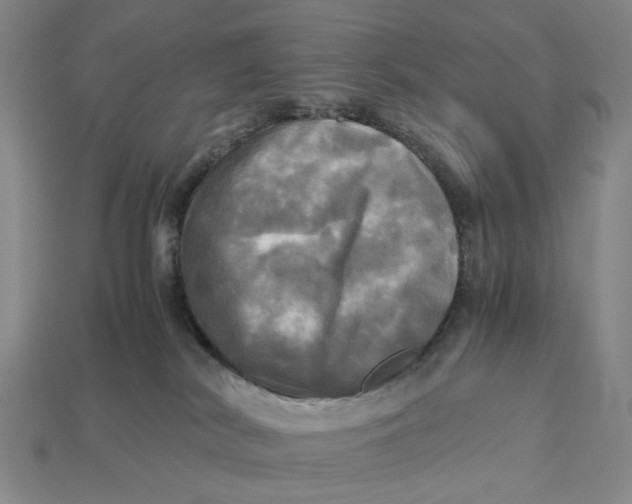 X0000112970038200909171327