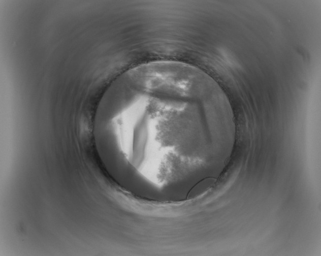 X0000112970040200909171327