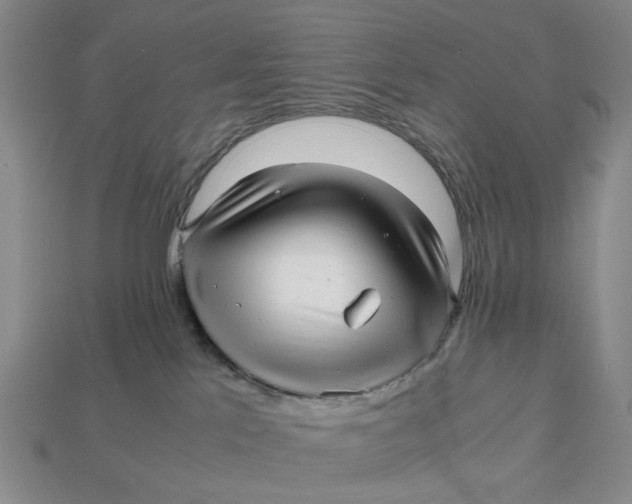 X0000112970041200909171327