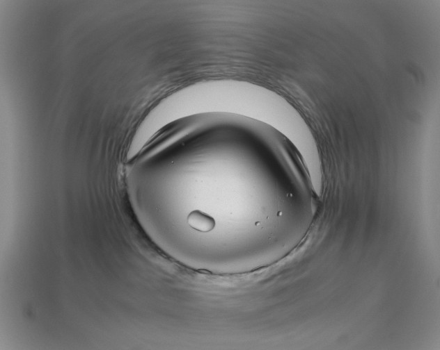 X0000112970045200909171327