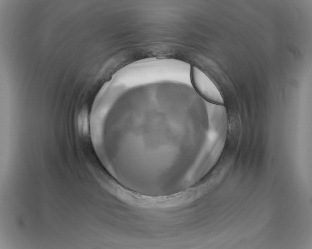 X0000112970046200909171327