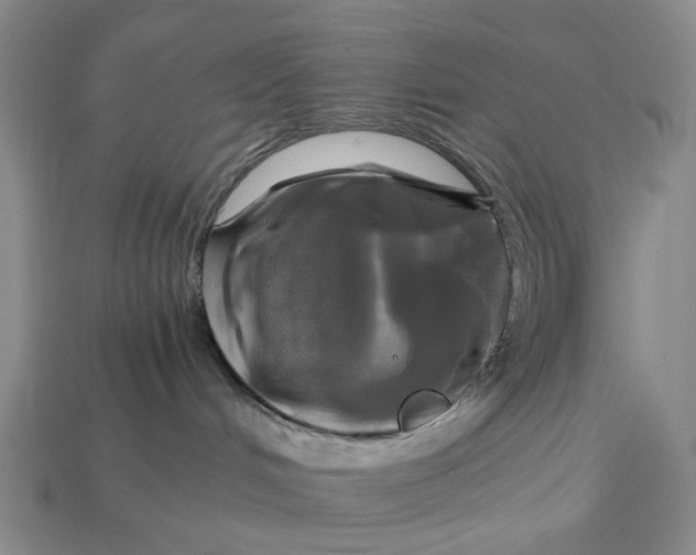 X0000112970048200909171327