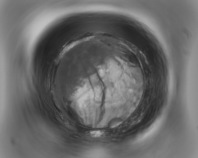 X0000112970050200909171326