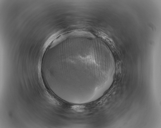 X0000112970051200909171326