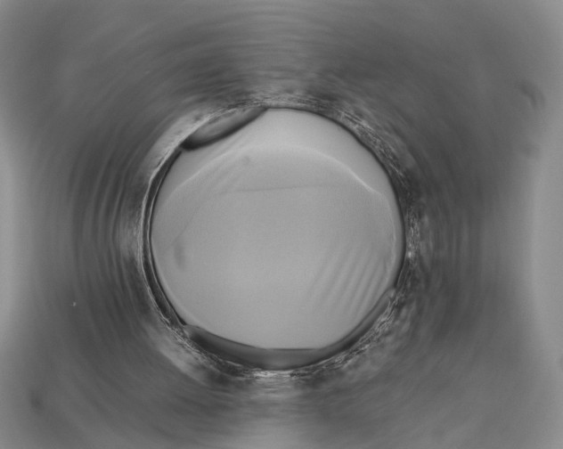 X0000112970052200909171326