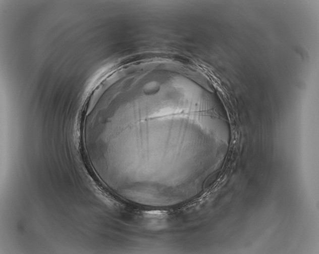 X0000112970053200909171326