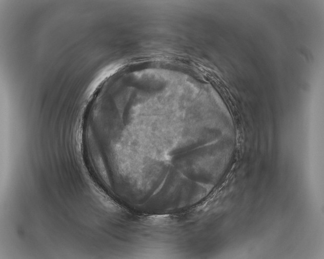 X0000112970054200909171326