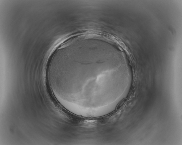 X0000112970055200909171326