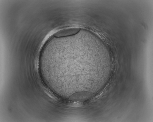 X0000112970056200909171326