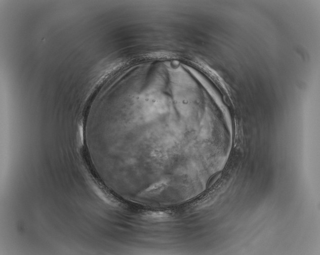 X0000112970061200909171326