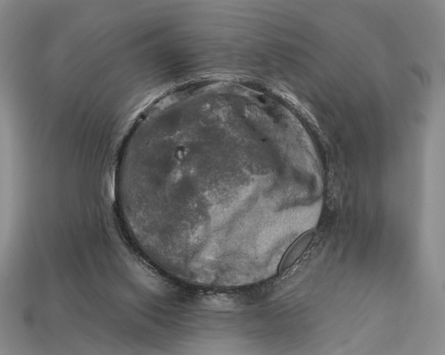 X0000112970062200909171327