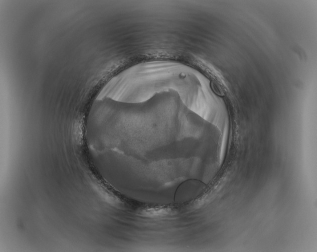 X0000112970065200909171327