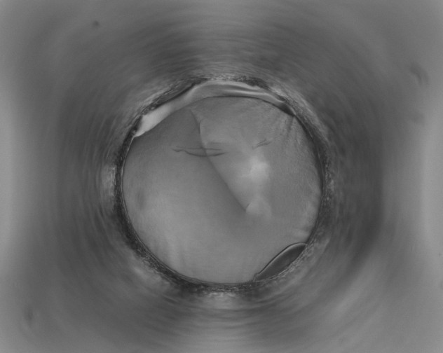 X0000112970066200909171327