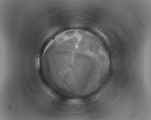 X0000112970067200909171327